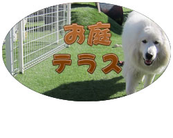 犬と遊べるお庭