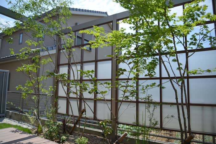 山採りの雑木　春日井市　庭