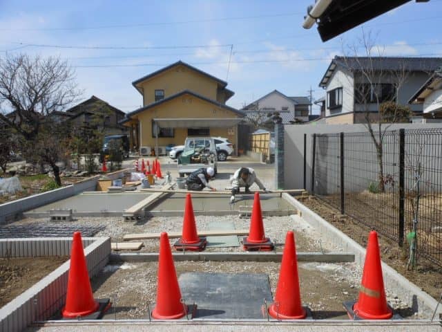 DSCN6442