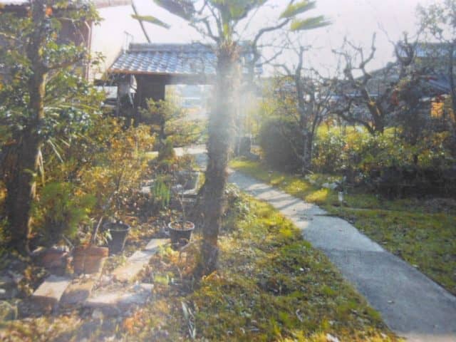 DSCN6694
