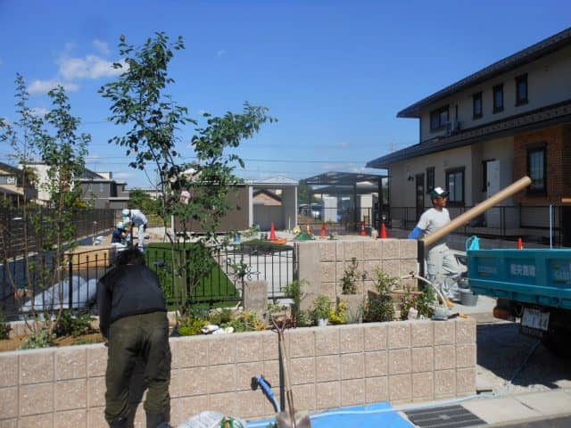 DSCN6811