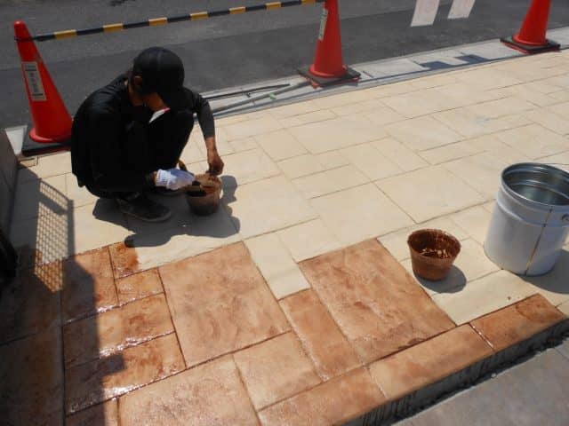DSCN6876