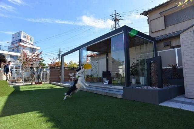 DSC_6451小