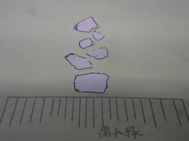 DSCN8463