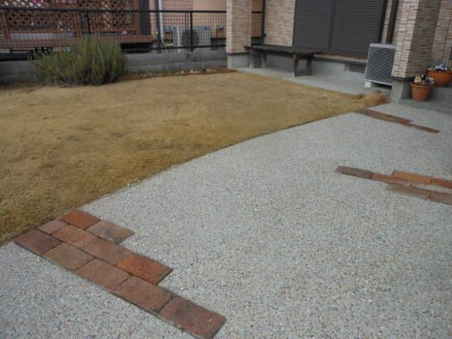 DSCN8554