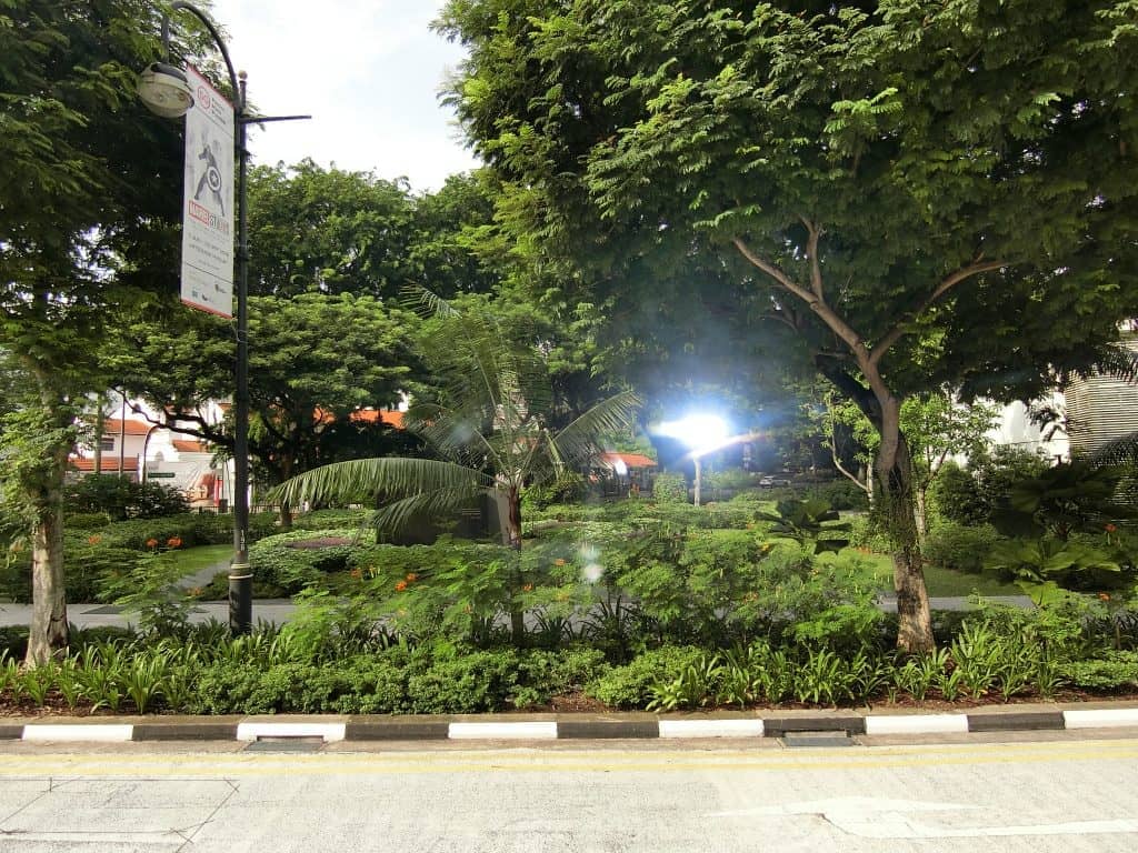 CIMG0428
