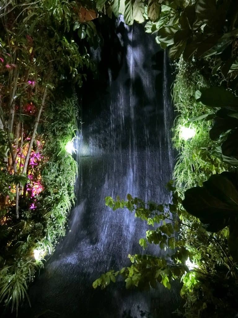 CIMG0505