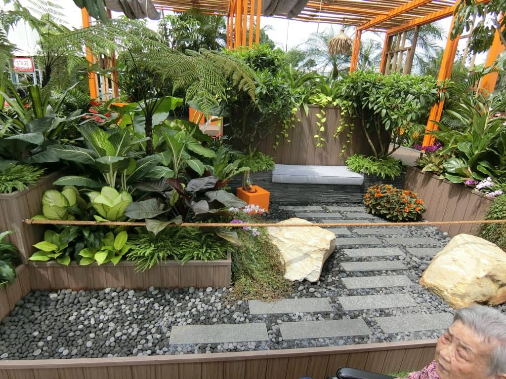 CIMG0539