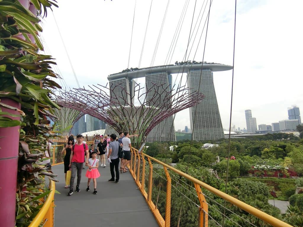 CIMG0550