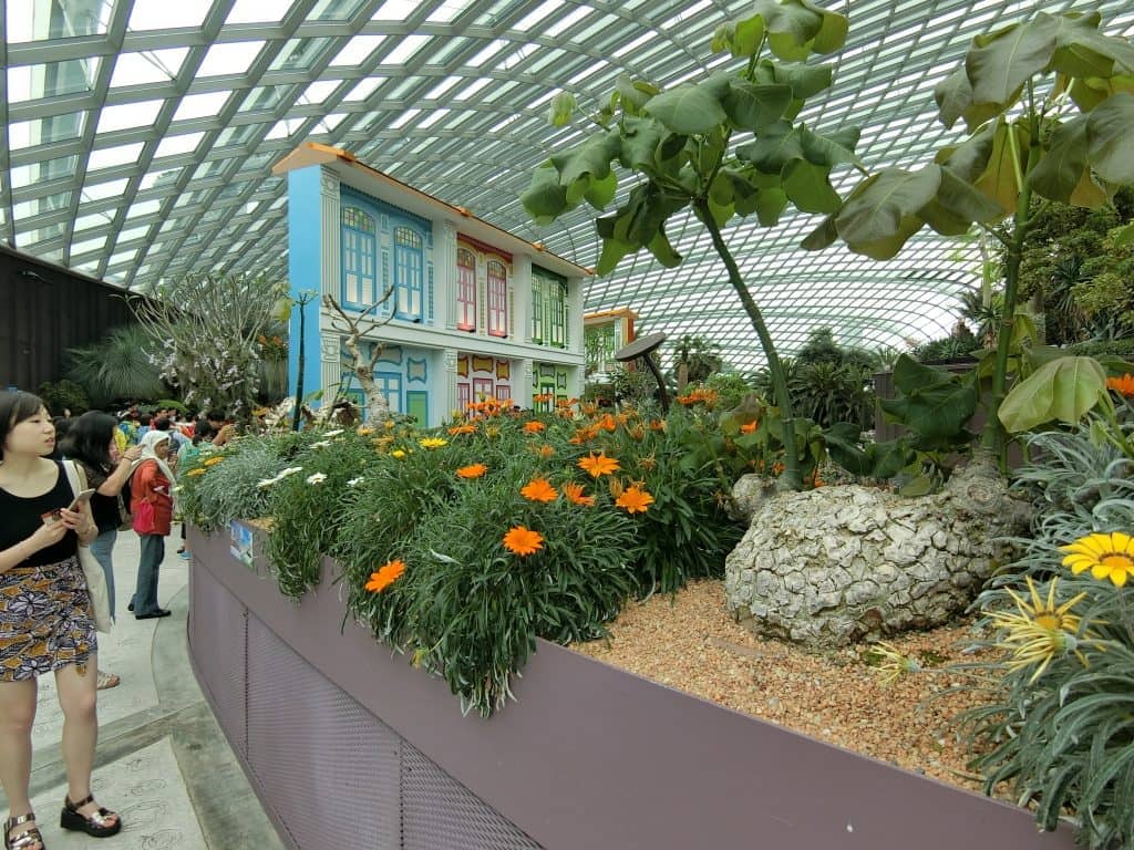 CIMG0564