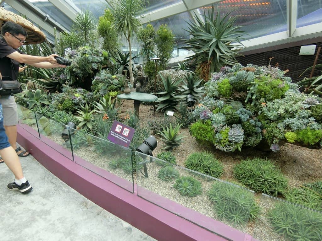 CIMG0565