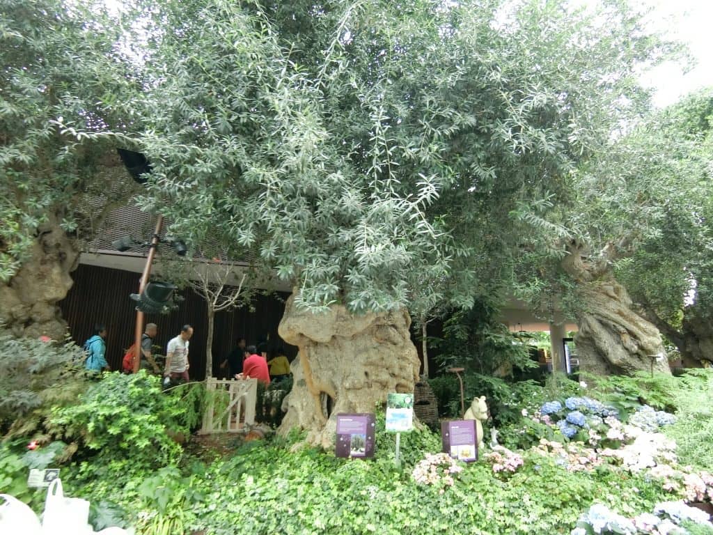 CIMG0592