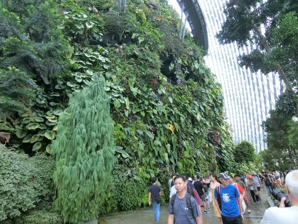CIMG0606