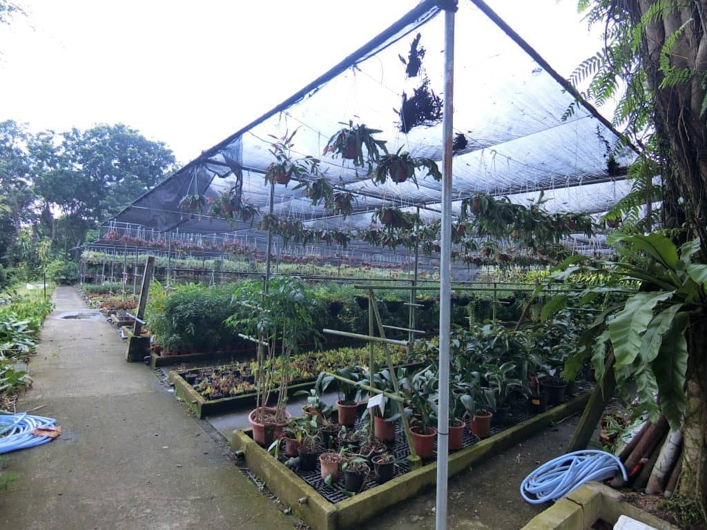 CIMG0836