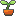 bud