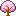cherryblossom